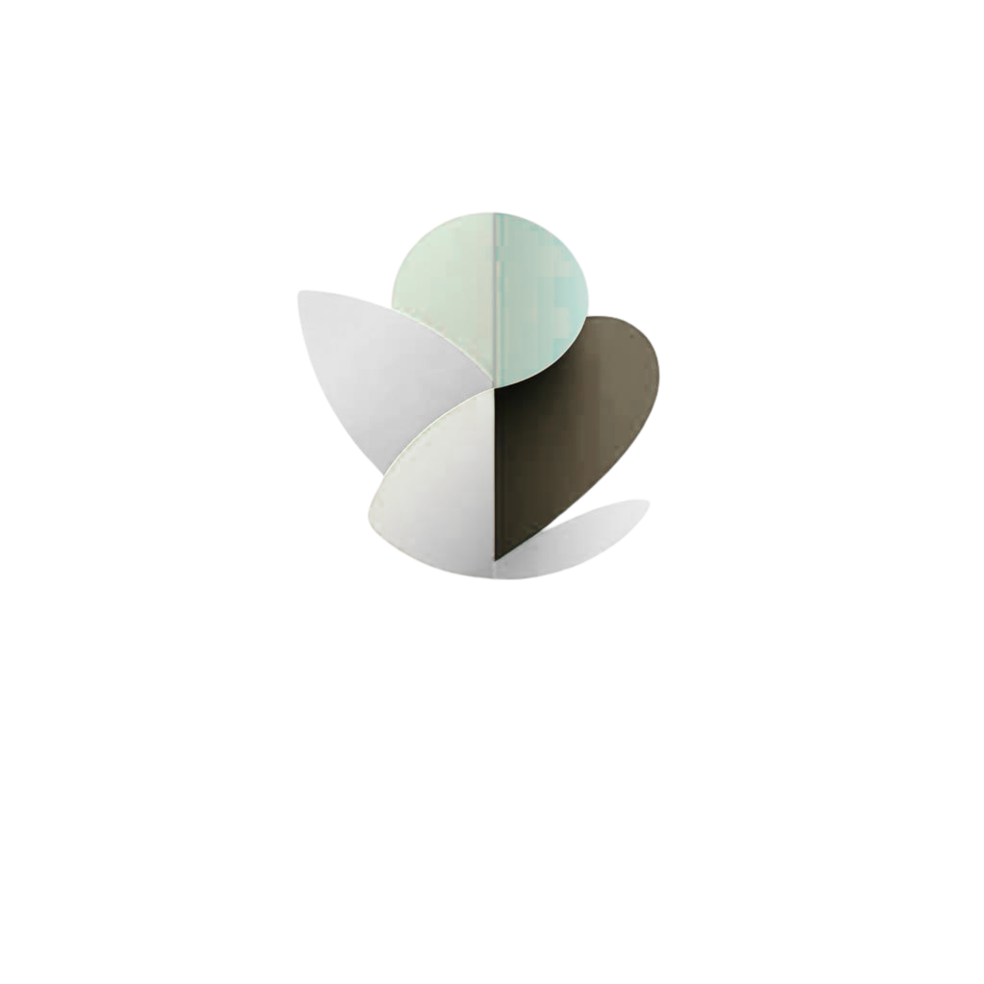 Logo-Co-Anh-Ne (2)
